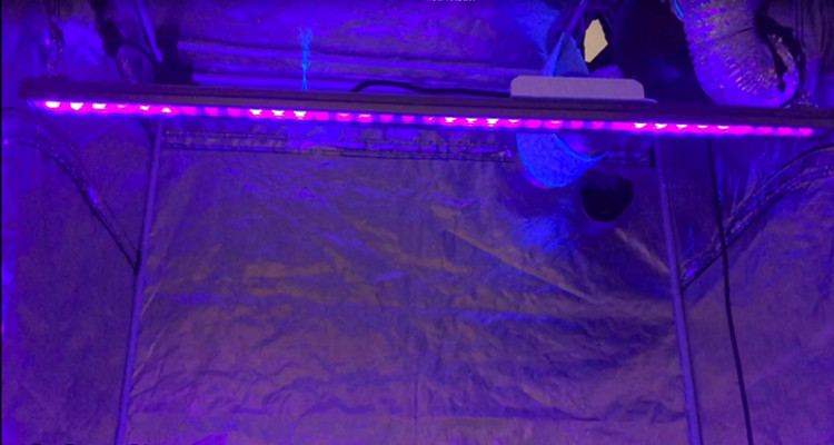 385nm UVBar120 80W UV Led Grow Light For Indoor Plants