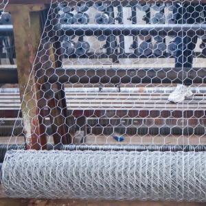 Galvanized Chicken Hexagonal Wire Mesh Fencing Poultry Netting