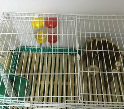 Building Reinforcing Stainless Steel Welded Rabbit Cage Wire Mesh,Bending, Welding, Decoiling, Cutting, Punching