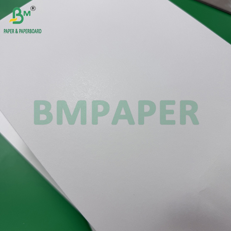 0.5mm Coated White Absorbent Paper 275g + 15g PE Matt Coating One Side