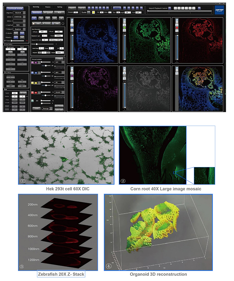 Opto Edu A64.0960 Laser Confocal Scanning Microscope Full Auto Motorized