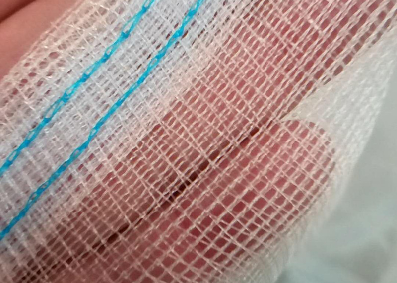 50 Mesh 100%HDPE Blue Non-Toxic Insect Mesh Netting for Fruit
