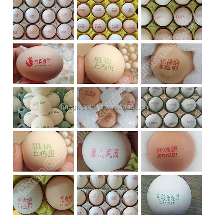 Automatic Egg Coding Machine Inject Printing Machine Small For Eggs Expiry Date Printing Machine