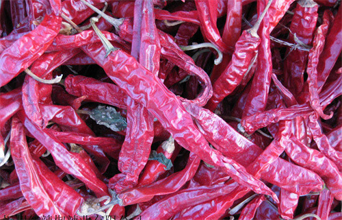 Red Erjingtiao Dried Chilis Spicy Stemmed Dehydrating Chili Peppers