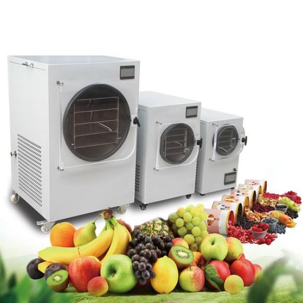 Quality 1500W Small Home Food Vacuum Freeze Dryer Lyophilization Machine 0.1m2 acreage for sale