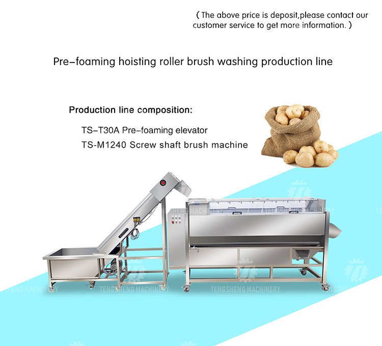 Multifunctional Fruit And Vegetable Processing Line Hoisting Machine