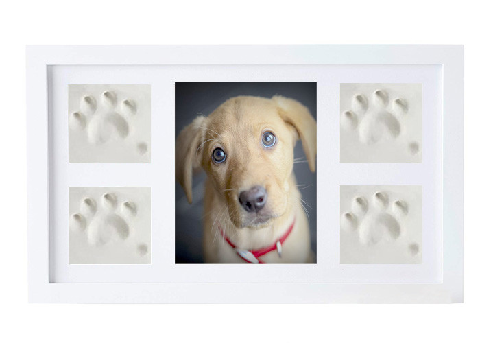 Non Toxic Pet Keepsake Frame Kit , Solid Wood Pet Memorial Photo Frame With Clay