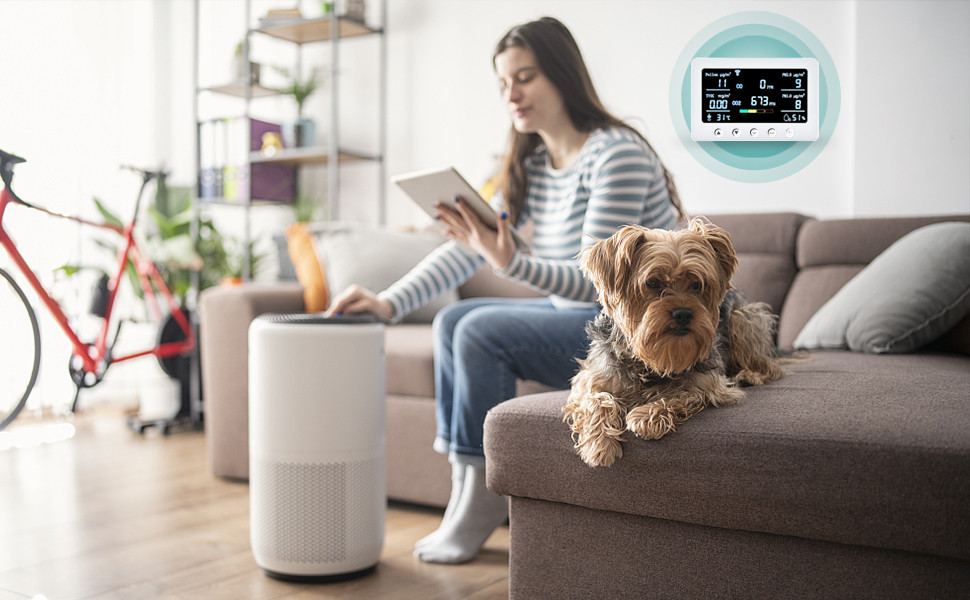 PT02 Plus PM2.5 VOC Smart Aqi Monitor Device Air Quality Co2 Monitor