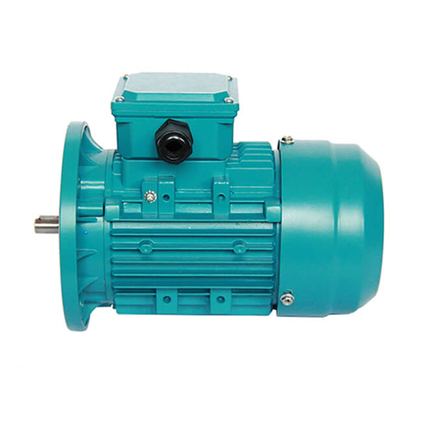 three phase electric motor