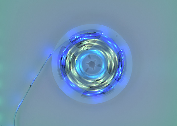 DC12V 5A Dream Color Addressable 5050 RGB LED Strip Light