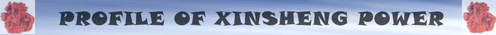 Cummins engine for generator 4B3.9-G1
