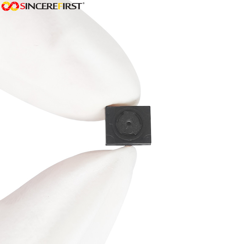 0.3MP FPC Camera Module OV7251 Fixed Focus Ff CMOS Sensor Mipi Socket Camera Module