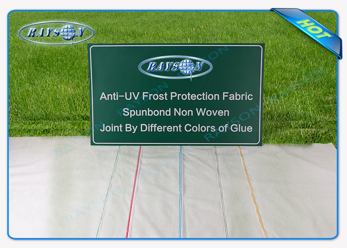 Environment PP Non Woven Fabric with Anti-UV Used for Agriculture Non Woven Cover