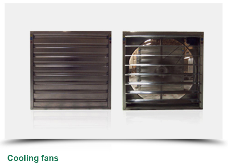 Multi-span Agricultural Glass Greenhouse with Film Covering Width 8m or Customizable