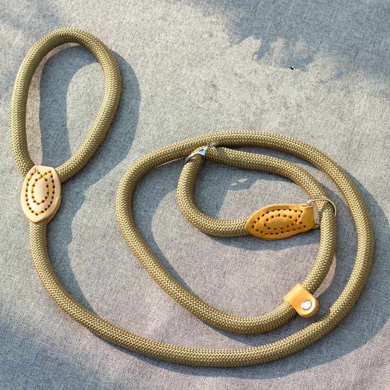 dog lead collar