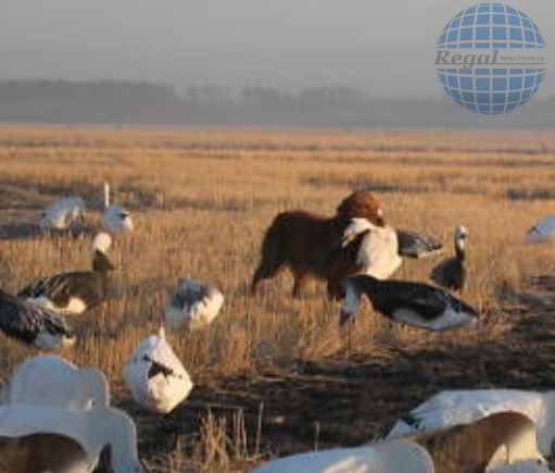 WHITE ROCK DECOYS BLIND DOOR DECOYS - SNOW GOOSE DECOY