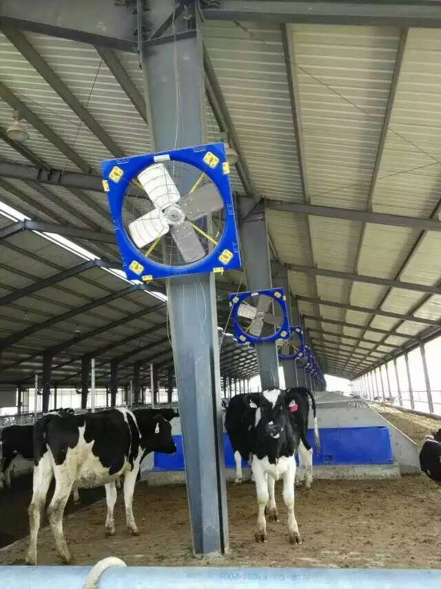 520V Industrial Livestock Farm Exhaust Fans Fiberglass With Cone