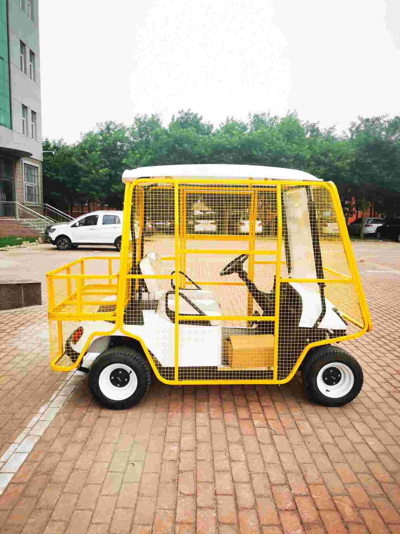 Customizable 60V Independent Front Suspension Golf Cart with 25-40 Mph Speed