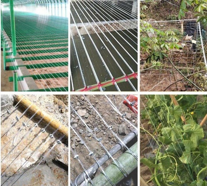 Agriculture Transparent 2.5mm Polyester Monofilament Wire For Holding Curtain Indoor Greenhouse Shade Net