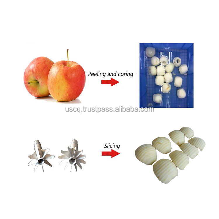 Apple Peeling Slicing Machine Apple Peeler And Corer Machine Apple Cutter And Slicer Machine