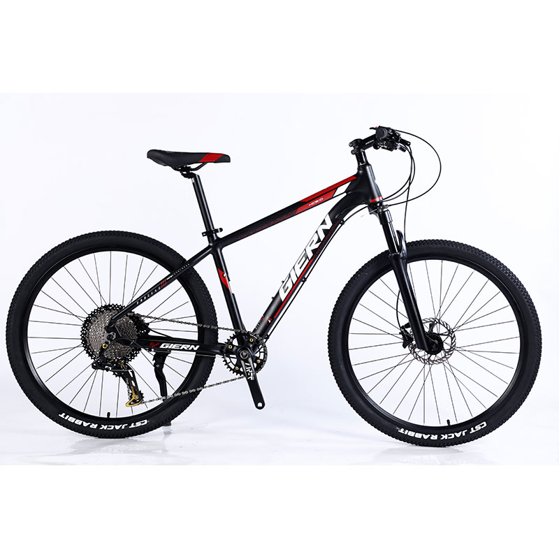 Manufacture 12 Speed Gears Mountain Bike with Double Wall Rim and Classic Design