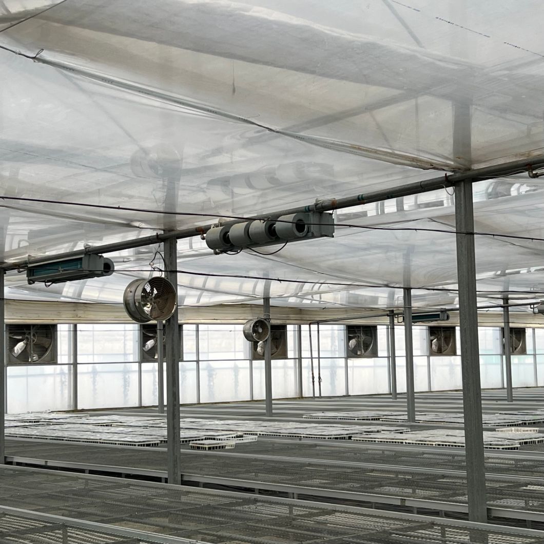 PVC Pipe Drip Irrigation Greenhouse