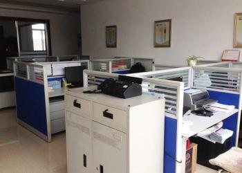 shengstone international limited
