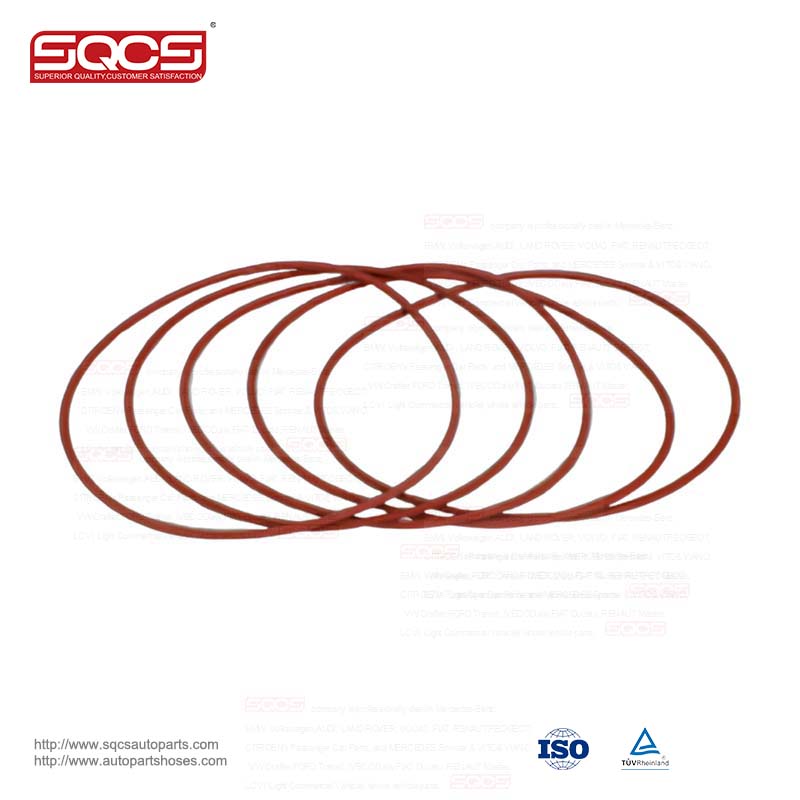 Production of Good Auto Parts SEALING RING 99455400 for Iveco Daily