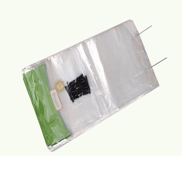 Clear PE biodegradable small plastic bags with Wicket for food bread packing