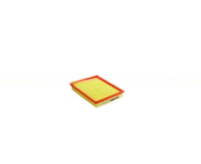 Air Filter for Buick/GM 9041833 9041833 96950990 93321112 and Top Performance