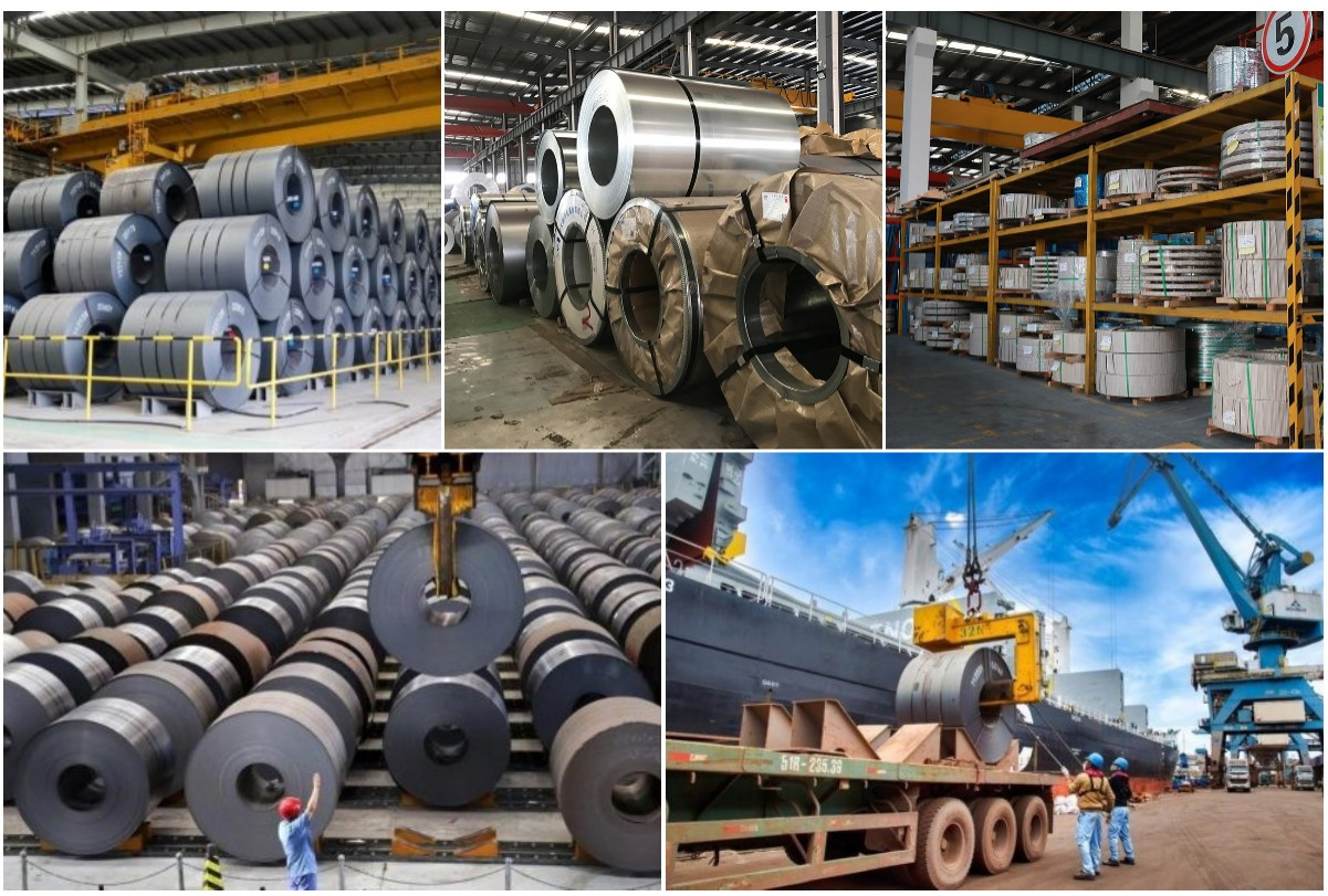 Construction Galvanized Steel Coil Sheet 2000mm 2440mm Galvalume Steel Coil