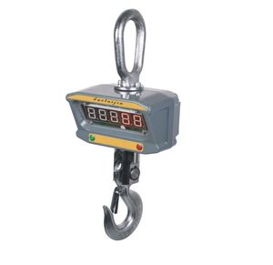 CRANE SCALE