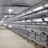 Buy cheap 1480x1750x440mm Battery Chicken Cage from wholesalers