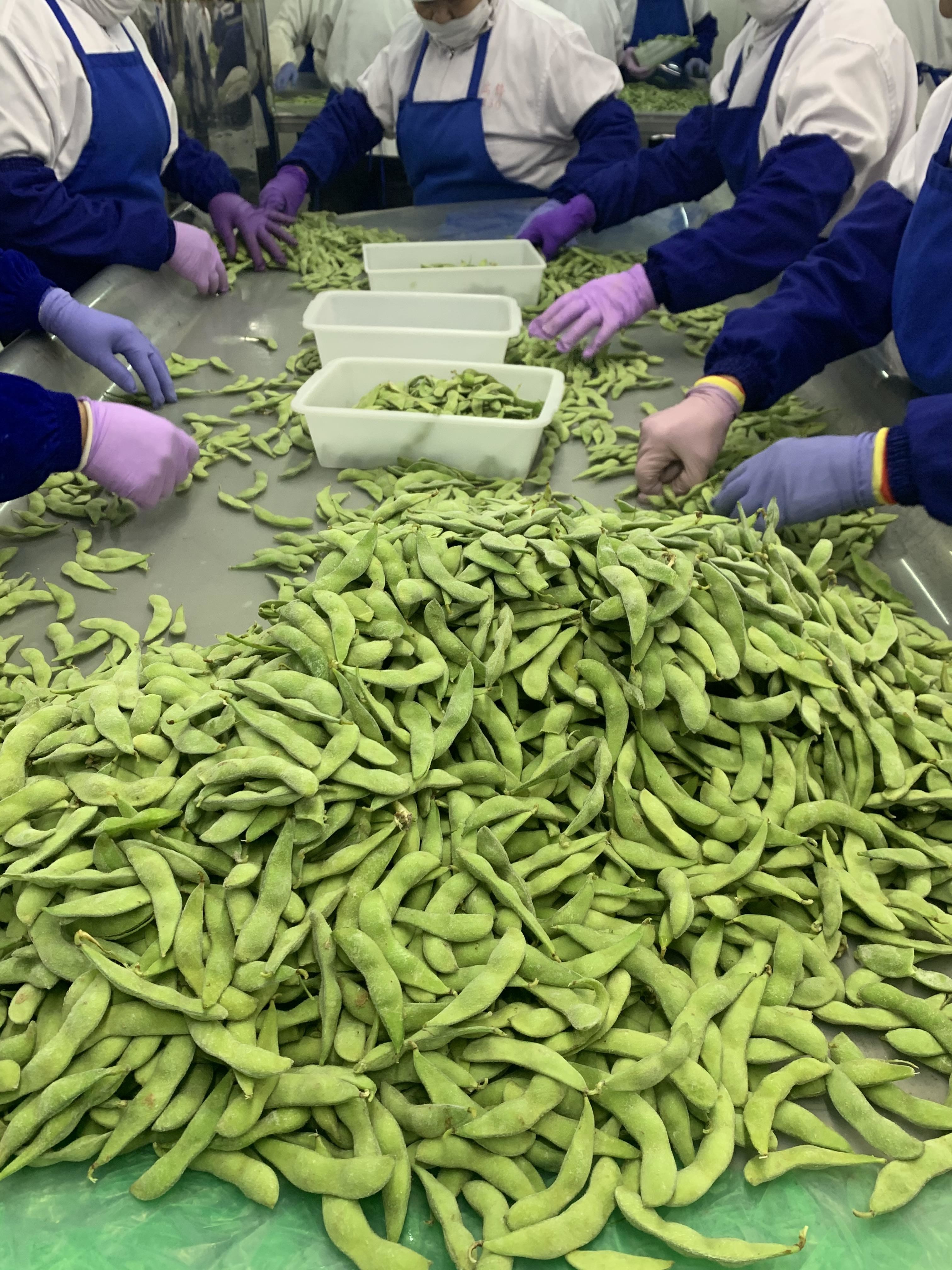 Japanese Style Peeled Frozen Edamame Beans Frozen Soybeans