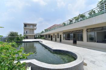 Foshan kejing lace Co.,Ltd