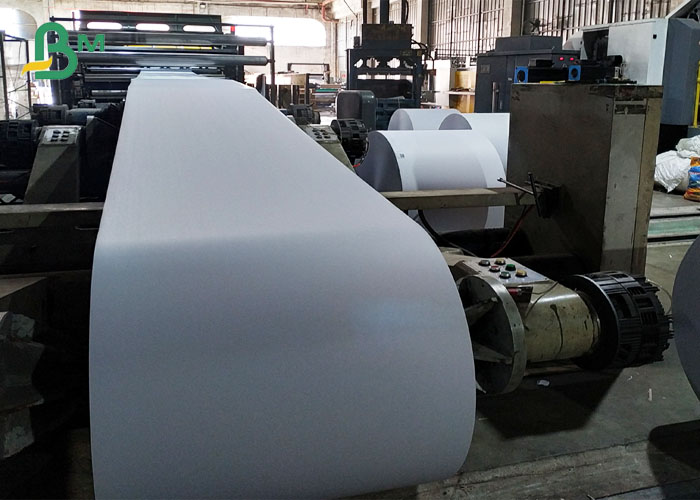 Bmpaper Plant Production