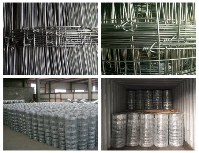 Galvanized Field Wire Mesh screen Fence Hinged Knot For Cattle 50m