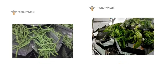 IP65 Fruit And Vegetable Packaging Machine