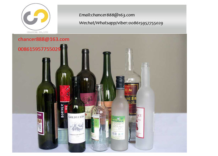 Automatic PLC control double sides bottle sticker labeling machine