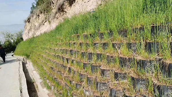 Online Technical Support HDPE Black Green Plastic Geocell for Slope Protection Ground Grid