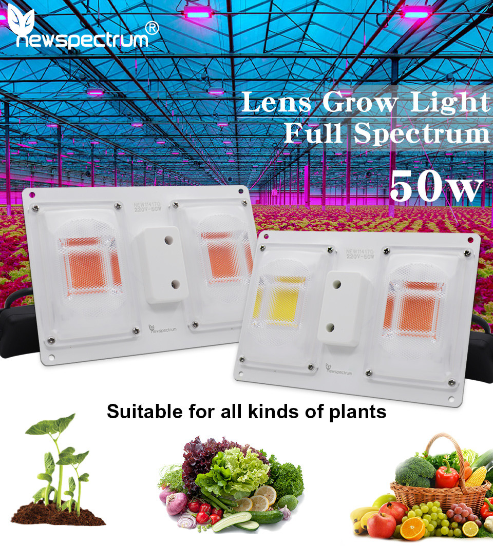 220V 3500K Light Bar Module Efficient Heat Dissipation For Indoor Planth Flowers