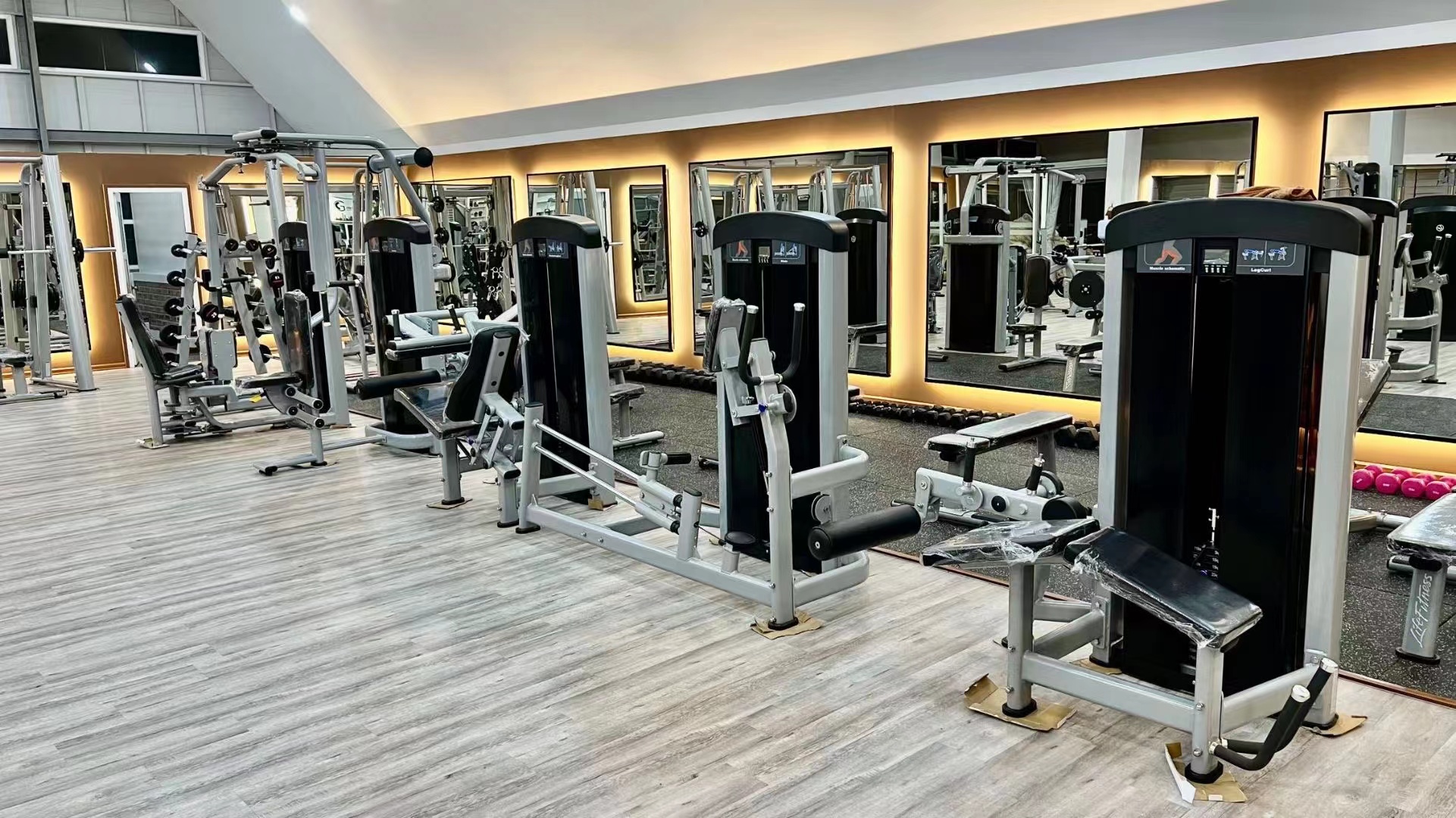 Commercial Gym Unisex Free Weight Training With Diverse Material