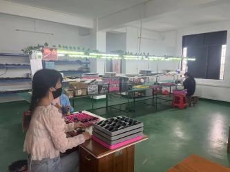 Foshan Xinghehan Technology Co., Ltd.