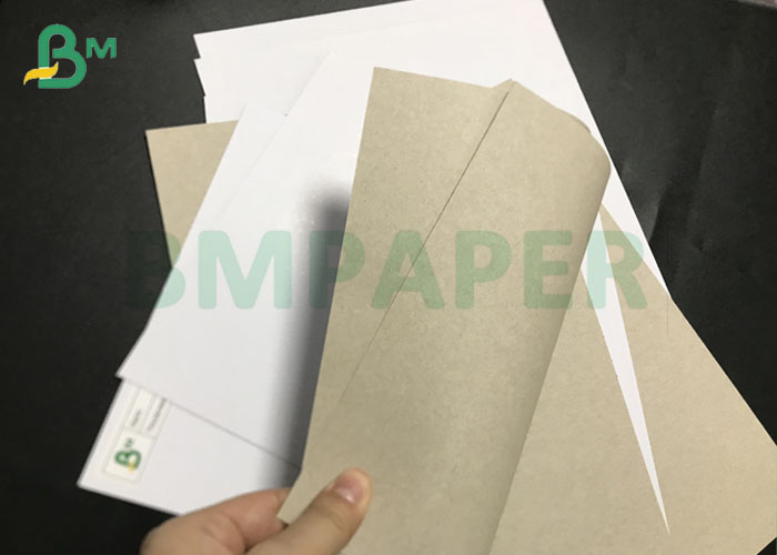 230g 250g 300g 350g 400g Grey Back CCNB Paper Coated One Side Duplex Board 