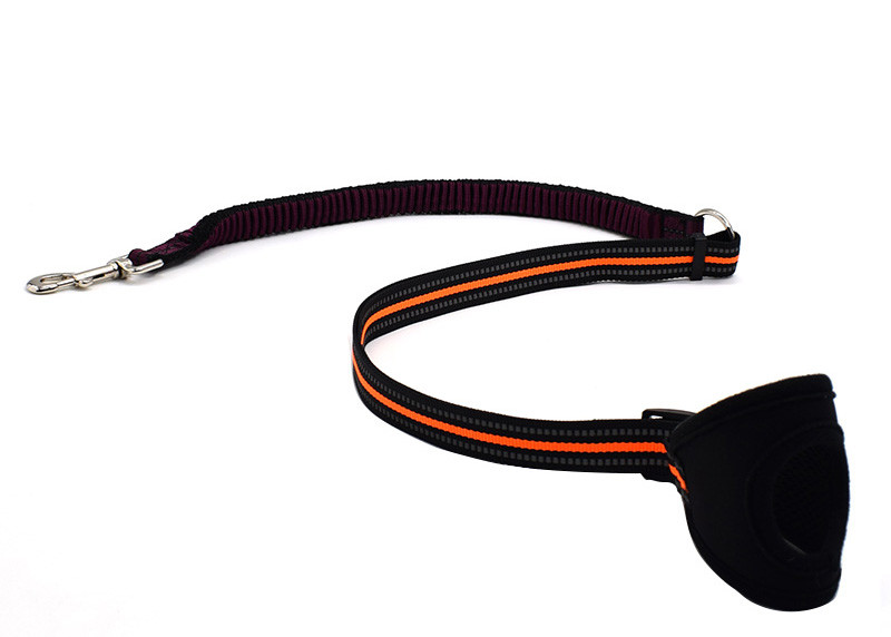 Blue / Yellow 6 Foot Dog Leash , Anti Shock Stretchy Strong Bungee Dog Leash