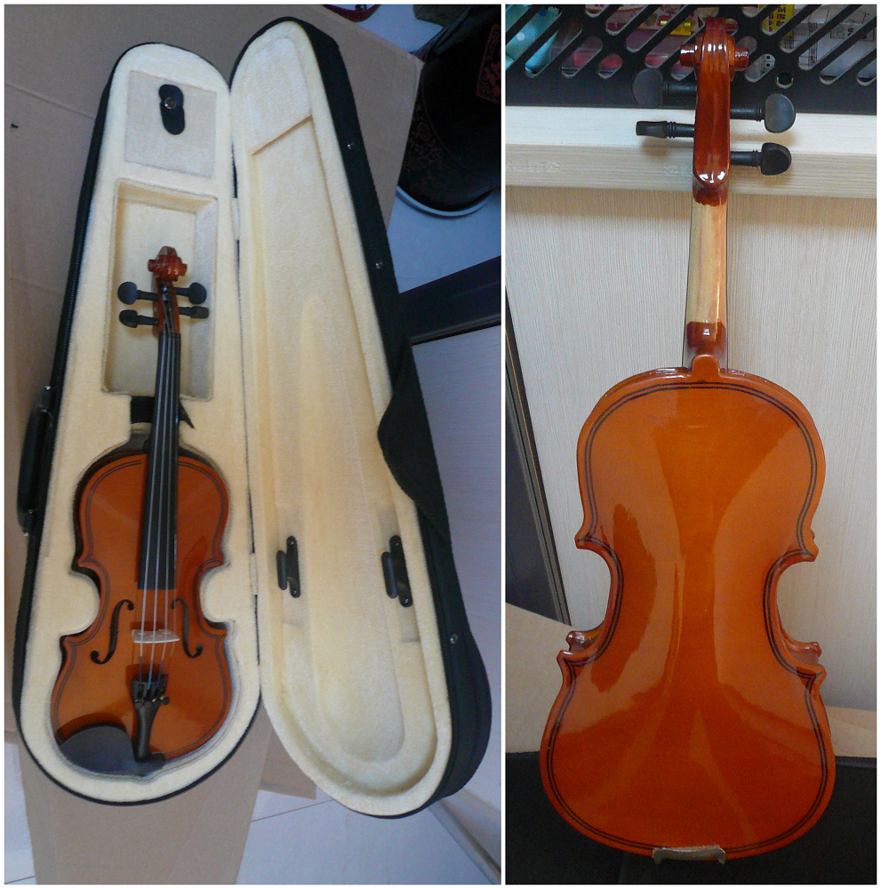 Ebonized Fingerboard Professional Violin 1/8 Size Classic For Student