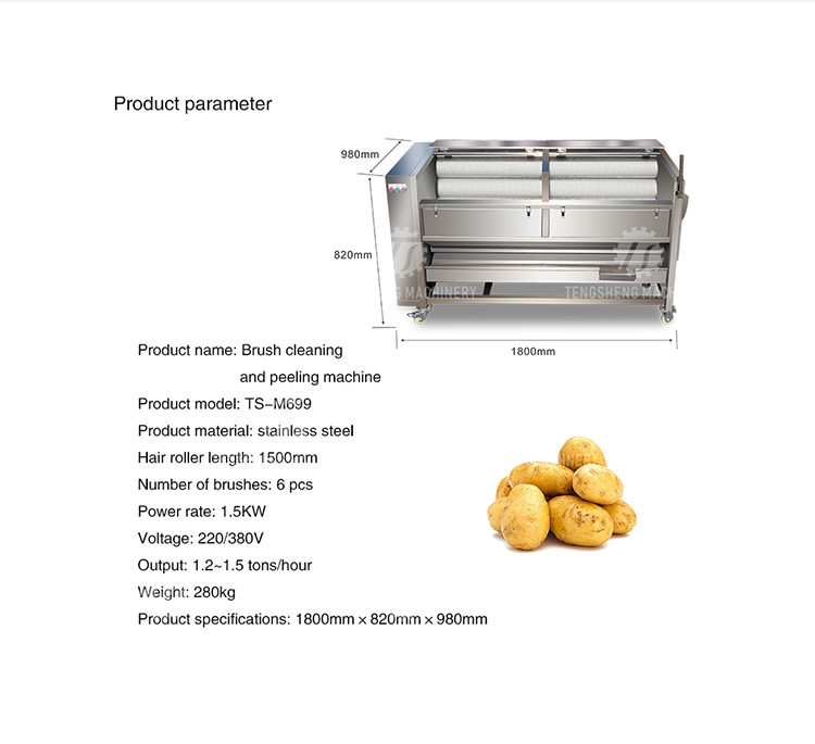1500KG/H Sweet potato cleaning and peeling machine manufacturers supply brush peeling cleaning machine