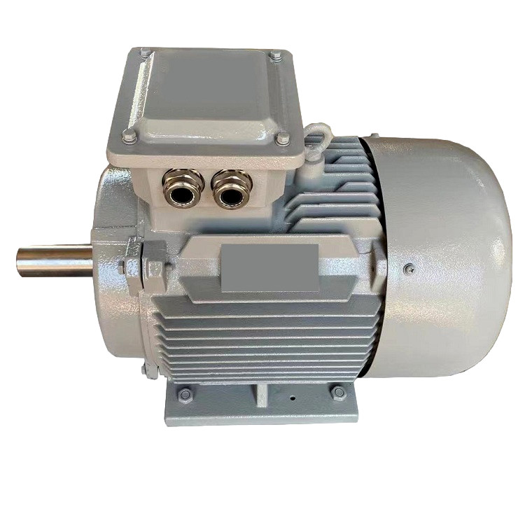 75kw 300rpm 400V 60HZ PMG PMSG Permanent Magnet Synchronous Generator For Wind Turbine