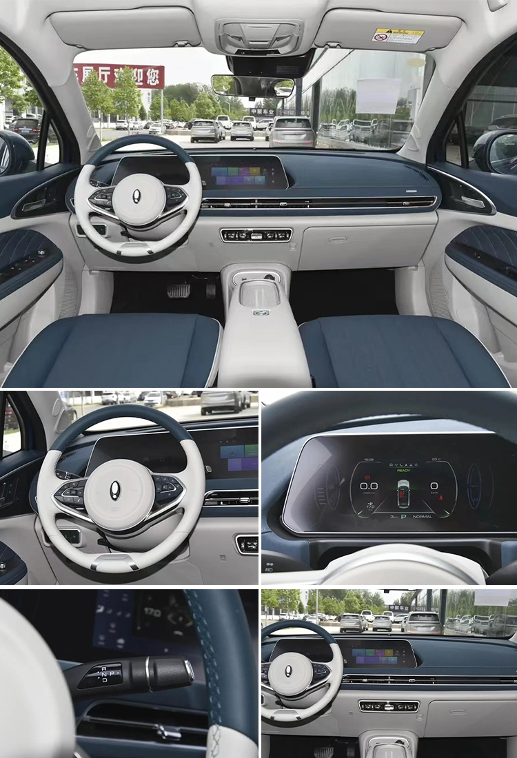 Electric Parking Brake 2024 Great Wall Ora Good Cat Car with Car Entertainment System