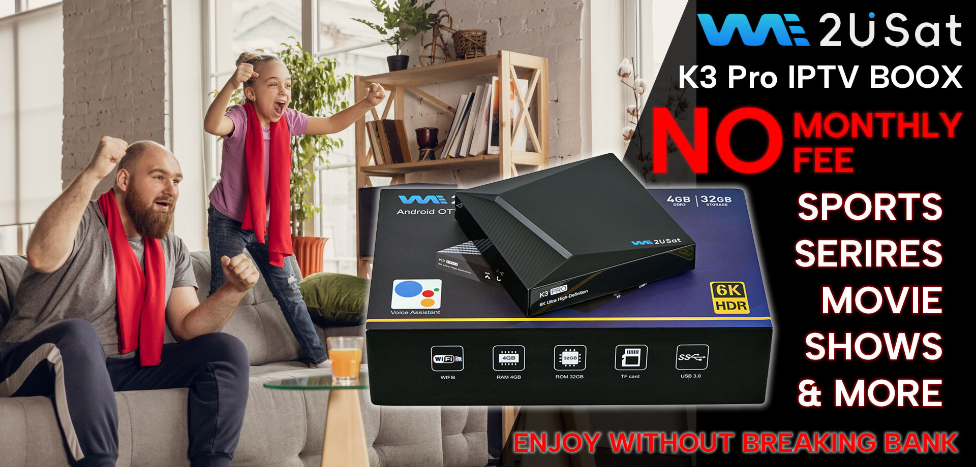 Custom IPTV Receiver Box